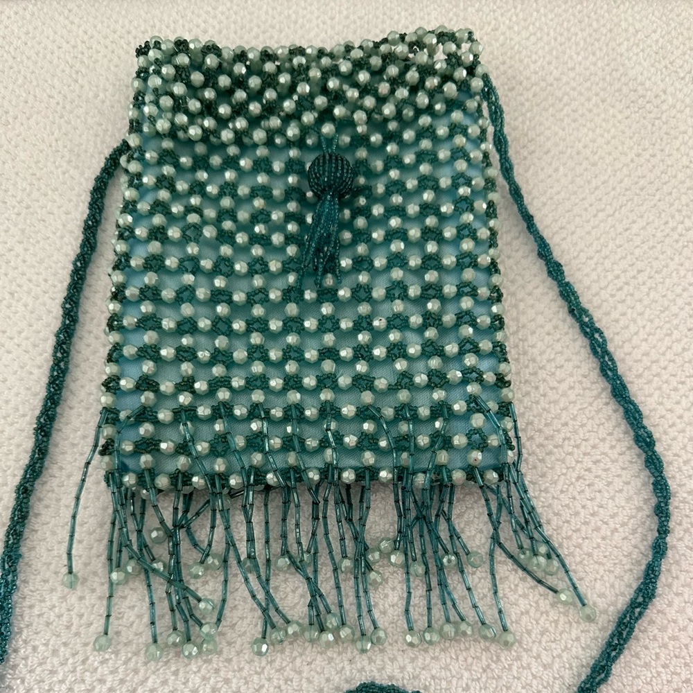 Bijoux Terner beaded bag